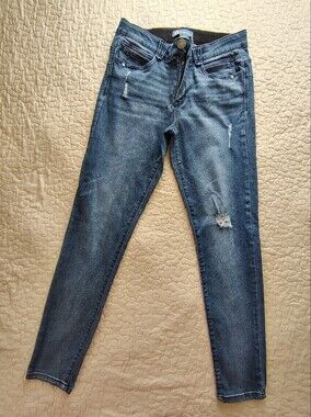 Democracy Distressed Dark Blue Skinny Jeans